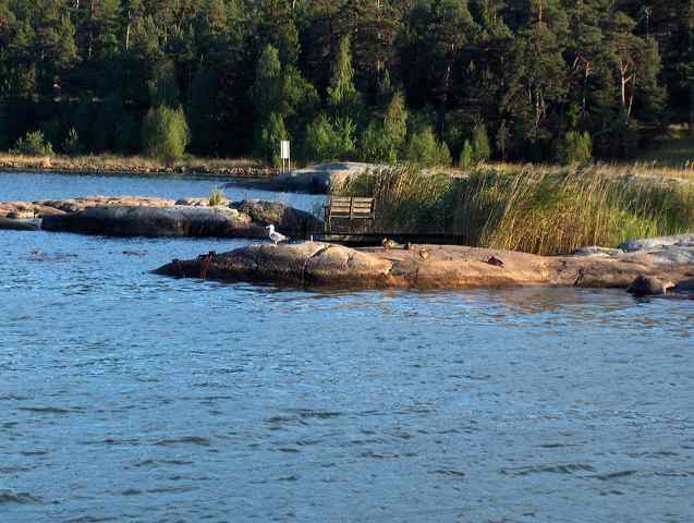 toern_15.16__06.8.06__82.jpg